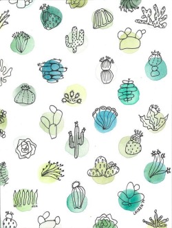 Cactus & Succulents