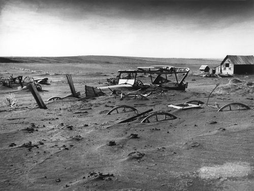 plantyhamchuk:Soil Erosion by Wind“Wind also causes much soil erosion. When the wind blows acr