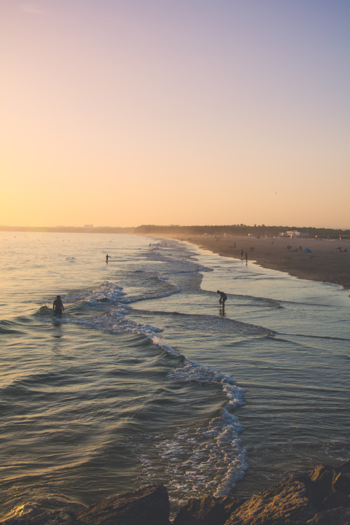 pedromgabriel:- At the golden beach - By Pedro Gabriel