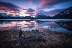 morethanphotography:  Iconic Rundle by AndrewLunt