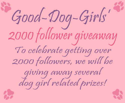 good-dog-girls:  Presenting: Good-Dog-Girls’ 2000 Follower Giveaway To Celebrate getting over 2000 followers, we will be giving away several petplay and dog girl related prizes! Prizes Include: 1 Wolf Tail from @littleqsoddities‘ Etsy Shop 1 Coyote