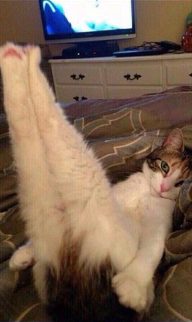 bunsen:  girls after shaving their legs be like 