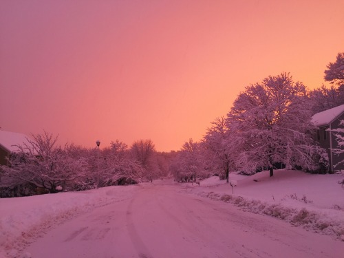 rewelcomed: the world was so pink tonight i was in awe