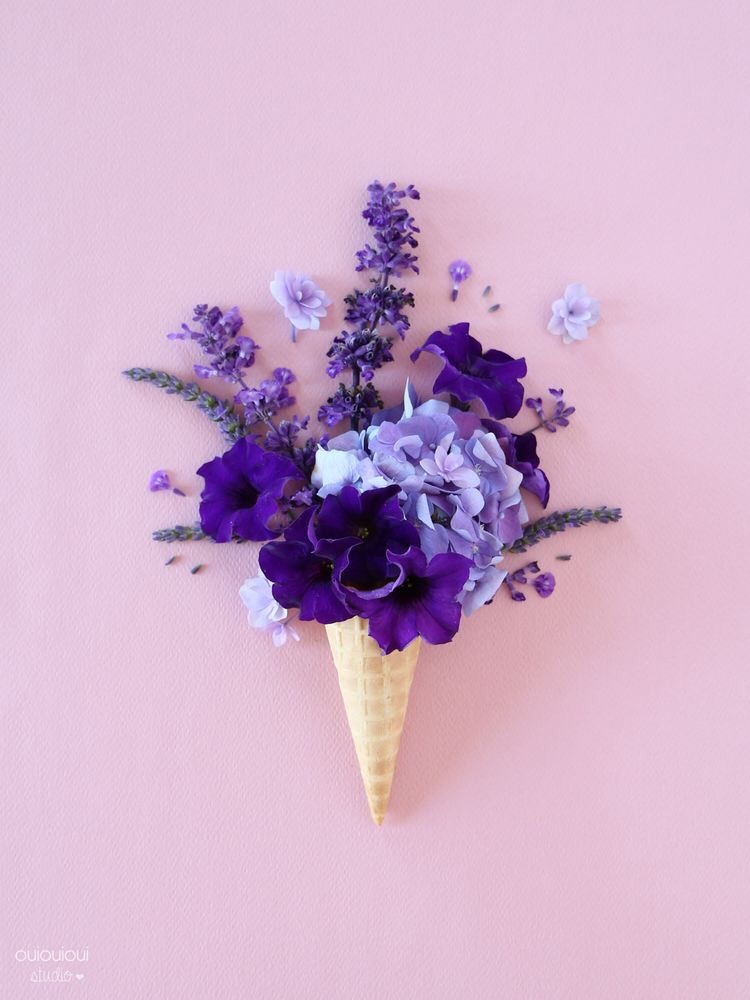 pastel–purple:by Oui Oui Oui Studios