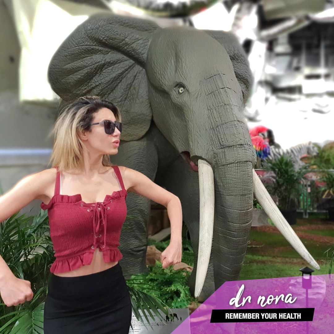 Remember your health 🐘Elephants have incredible memories and it is thought that it plays a large role in their long survival.
Remembering to invest time in your health and checking those aches and pains or niggles you may have can help to lead a...