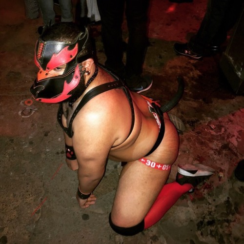 Had the best time at #piel at the eagle nyc was a fun night to be a pup and dance my ass off was ama