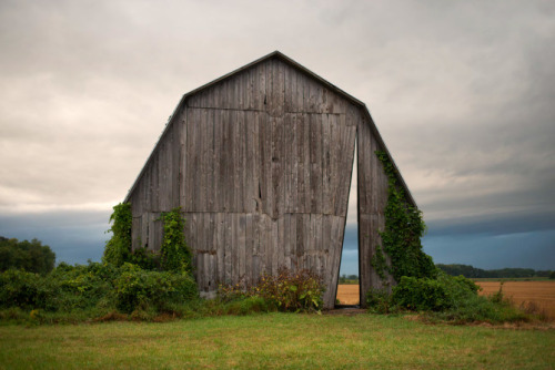 secret sky ~ catie newell / alibi studio | photos © alibi studio