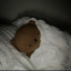 sleepytea1