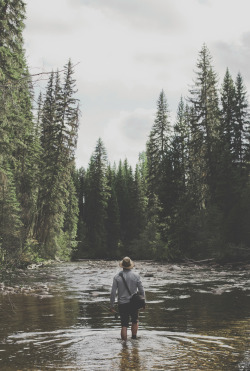 man-and-camera:  Fly fishing ➾ Luke Gram