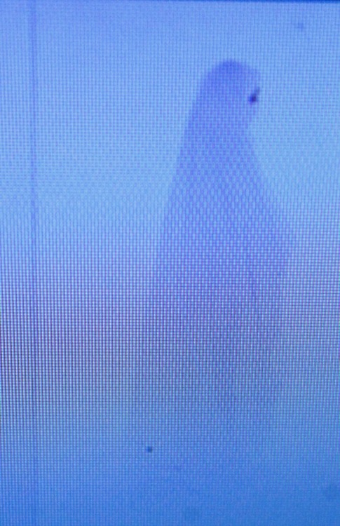 spaceghostkirb.tumblr.com/post/51546638914/