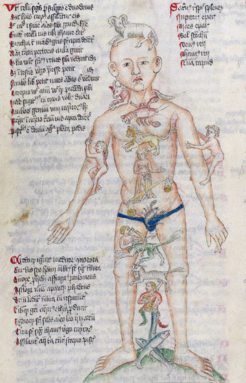 discardingimages:Zodiac Manmedical miscellany (‘Wellcome Apocalypse’), Germany 1420London, Wellcome 