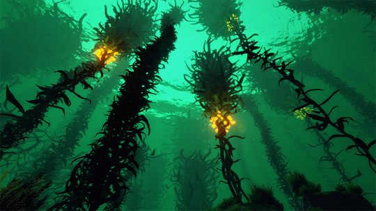 entreri:


Subnautica » Kelp Forest 