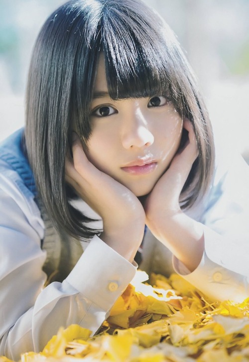 hako46:渡邉美穂, けやき坂46
