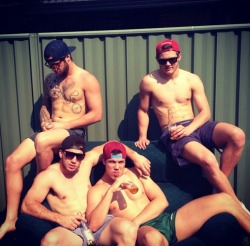 Aussie Studs