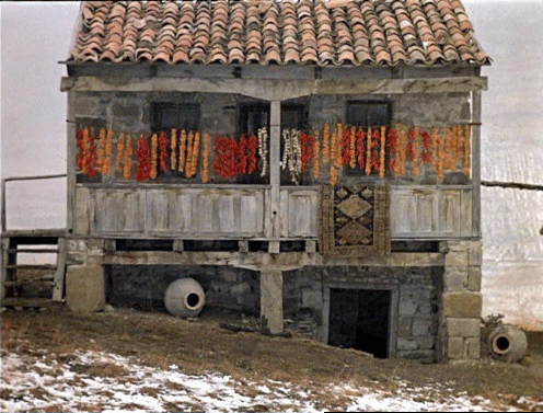 tumblr_pgv5ap0uTU1rt5fq2o1_500.gif