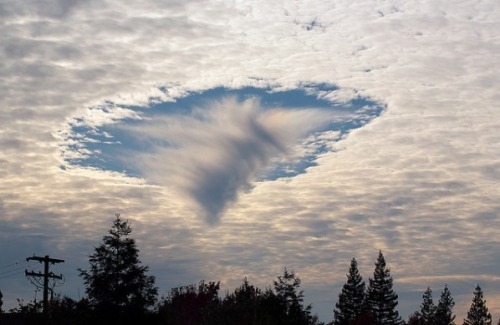 ethicfail:  Nature; No Photoshop required. 1. Lenticular Clouds 2. Anvil Clouds 3. Cirrus Kelvin-Hel