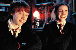 noahandquinn:  hp meme | eight quotes [5/8]