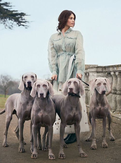 gemmaartertonedit:  “One of the joys in my life is that in the space of a few months