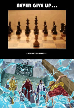 luffygirl05:  I laughed when I saw the chess picture. When I saw One Piece my face literally went -_- 