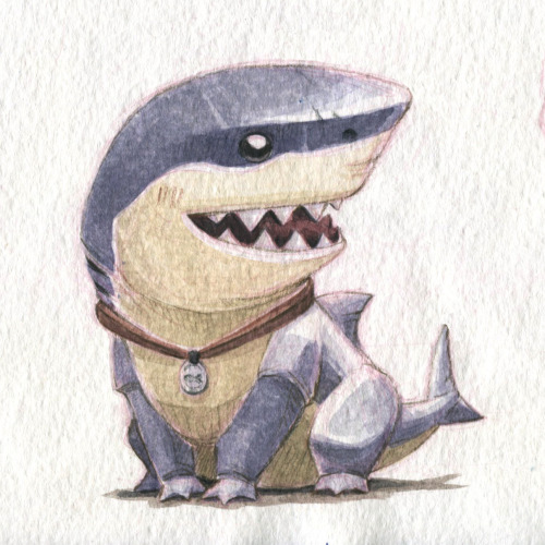 kevanhom: Great White Shark Pup!
