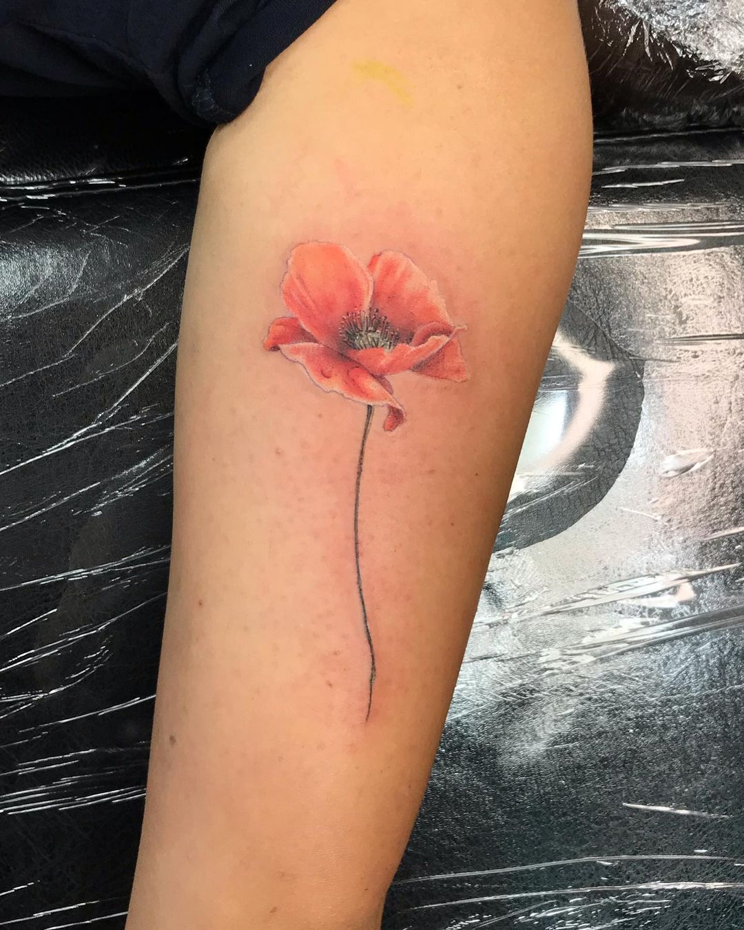 30 California Poppy Tattoo Ideas in 2021MeaningsDesignsAnd More