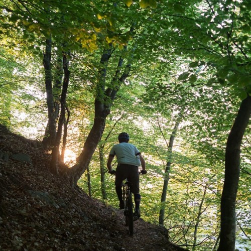 estrangedadventurer: #bicicollemolle #sunset #singletrack