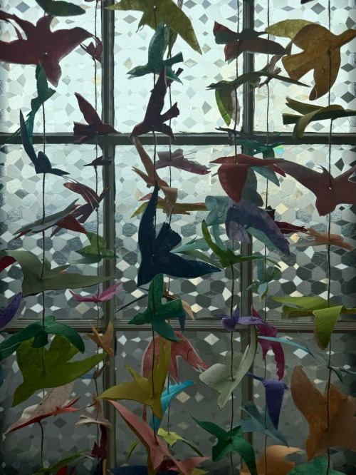 Birdy Strings For Our Gay Wedding