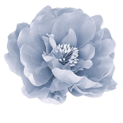 white flower