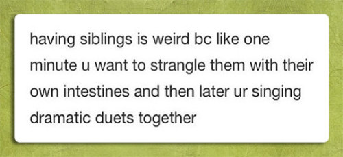 srsfunny:  Having Siblingshttp://srsfunny.tumblr.com/