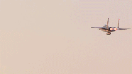 riidaroku:  JASDF F-15 