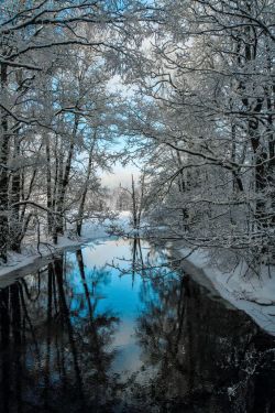 renamonkalou:Bright Winterday | Lauri Lohi