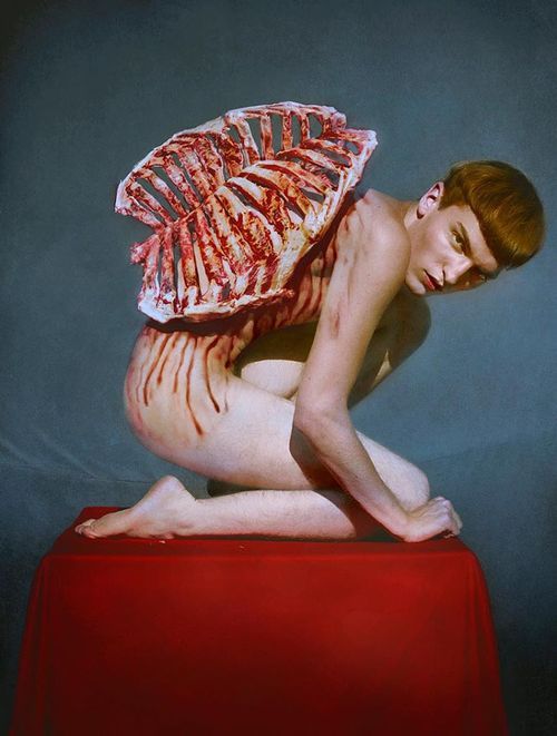 tigertoes:  picaet:  marwane pallas  wow.