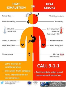 Bendyandbroken:  Heat Stroke Or Heat Exhaustion [Caption: An Orange, Red, Black,