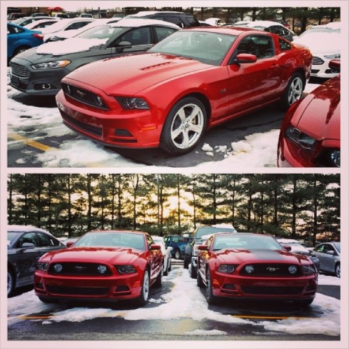 I don’t know about you guys but these ponies are pure sex. #americanmuscle #ford #mustang #gt #5.0 #sexyinred #fast #sickcars #americanmade