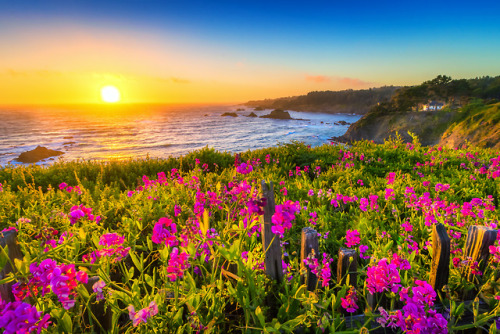 davecurry8: Mendocino Sunset