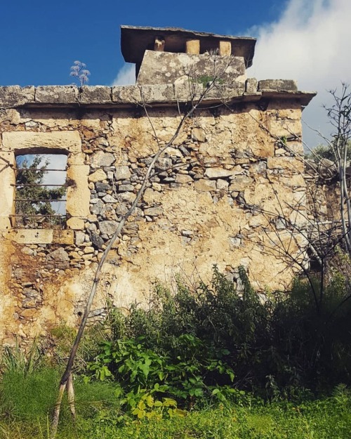 Ανηφοράς #crete #chania #apokoronas #instalifo #abandoned #oldhouse #visitcrete #visitgreece
