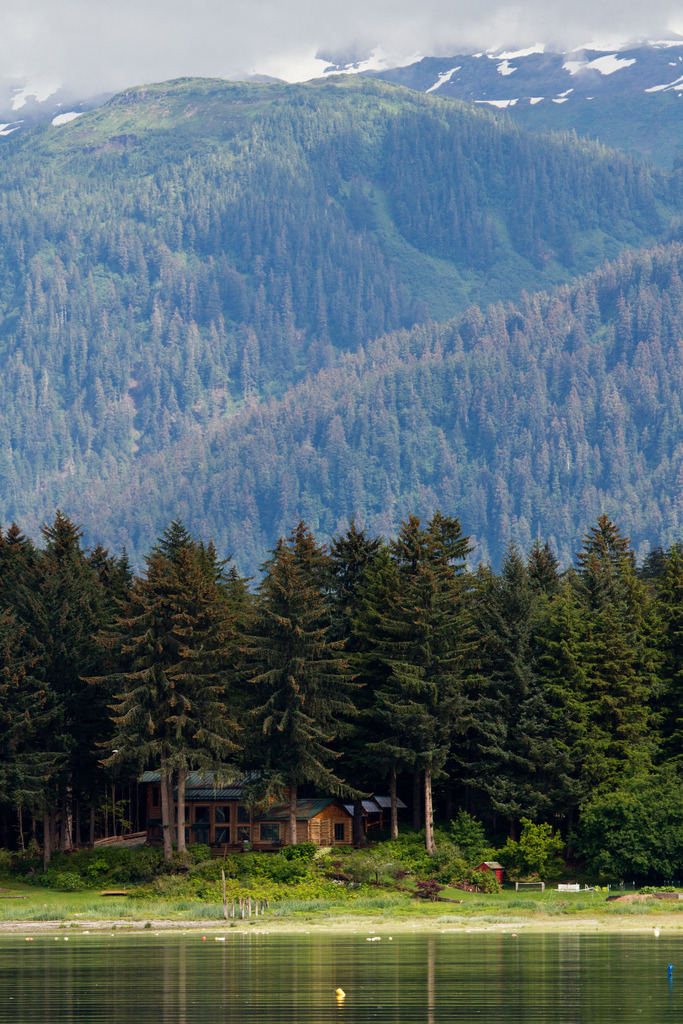 10bullets:  House in the Douglas Island Woods (by Mallady)