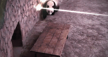 funny-gif-1:  Other Funny Gİfs http://funny-gif-1.tumblr.com/