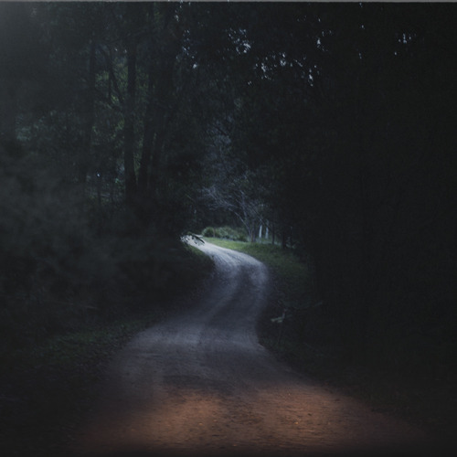 untrustyou:  Lilli Waters  