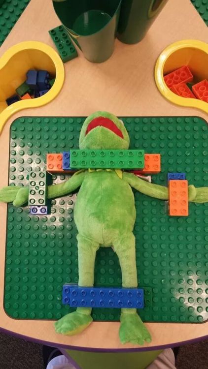 motel-of-the-white-locust:  truezodiacfact:  I work at a big chain bookstore. Someone at another store found this while tidying up the children’s department.  kermit the frog here in BDSM.  This episode “WHAT IS MY FUCKING SAFEWORD” brought to