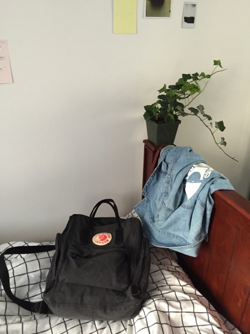 halfinvisible:books and cool stuff