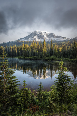 brutalgeneration:  Mountain in the Mist by