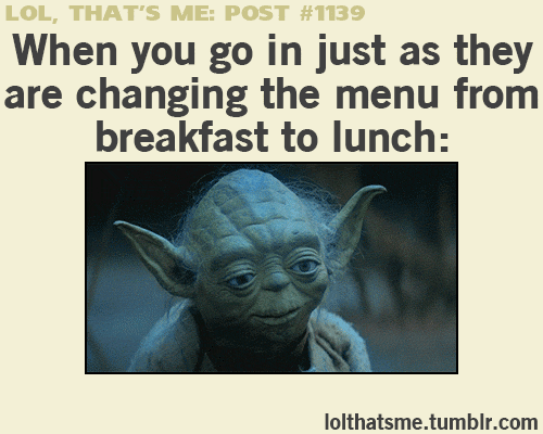 Tenemos mucho que aprender de los Hobbits, ¡segundo desayuno para todos!