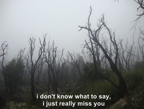 NEVER TRUST TOO MUCH