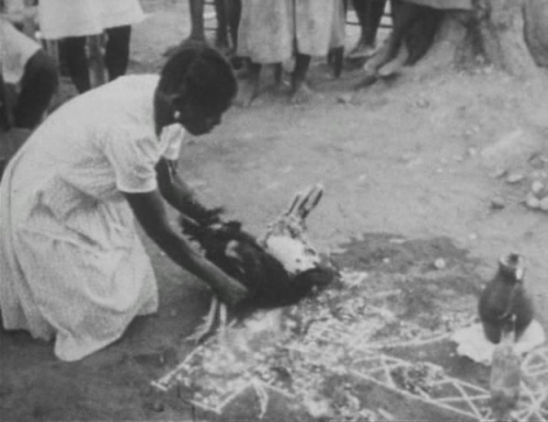 unangeapasse:  Voodoo scenes from Divine Horsemen, the Living Gods of Haiti, 1985. Shot by Maya Deren 1947-54, edited posthumously by Teiji and Cherel Ito.