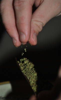 fearisdead:  Green crack fallin into the blunt 