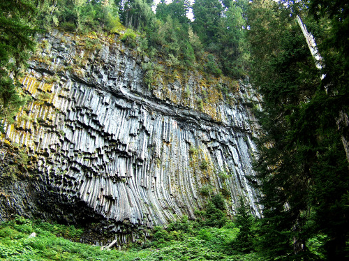 90377:Massive Columnar Basalt by Mark Knoke