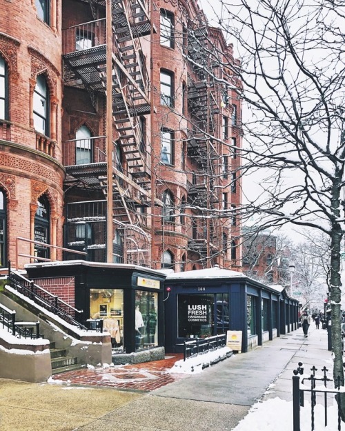 #winter #street #boston #latergram (à Newbury Street) www.instagram.com/p/BuU00DnFQ5b