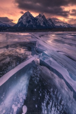 sundxwn:  Last Xmasby Simon Roppel