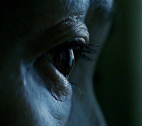 samaraweaving:They got the right guy. MOTHER (2009) dir. Bong Joon-ho